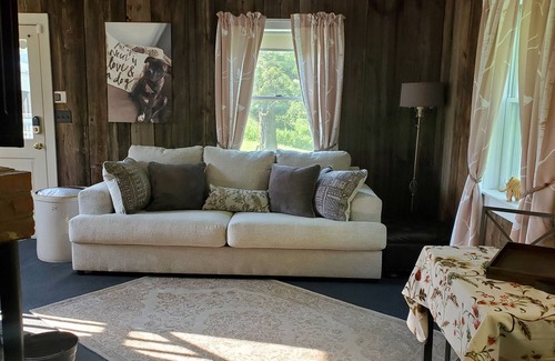 Danby Casa | 25 mins to skiing - Experience the Alpaca Life in Beautiful Danby, VT