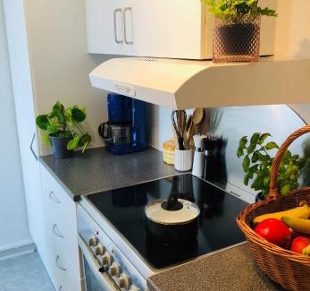 Tonder Apartamento | 27 Vestergade