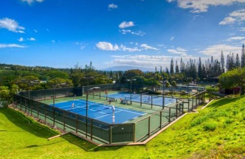 Napili Apartamento | 2914 Ridge