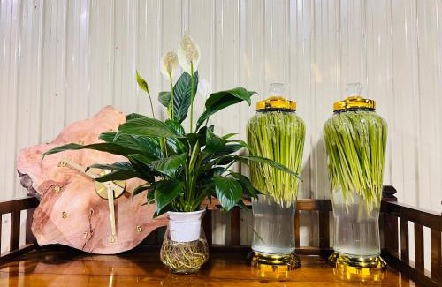Ha Giang Casa | 2A Travel-Homestay