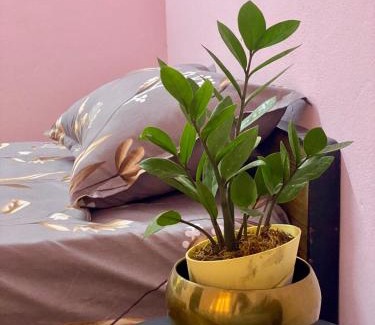 Hyderabad Apartamento | 2BHK Home AC bed room First floor Meerpet