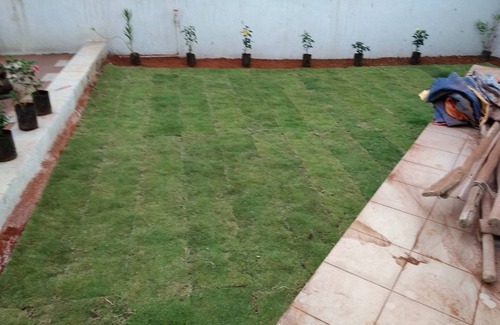 Alibaug Casa | Kashinath Bunglow - Un portal perfecto en el corazón de Alibaug.