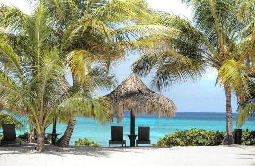 Dominicus Apartamento | 2BR Beachfront Cadaques Caribe
