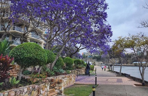 Kangaroo Point Casa | 2BR Beautiful River Retreat Pool Wine Gym Netflix