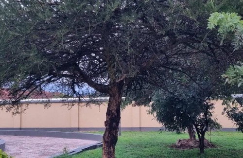 Harare Cabaña | 2br/cottage/swimming Pool/near Airport