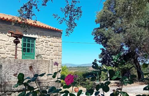 Vila Ruiva Apartamento | 2Br Serra da Estrela Escape-Cheese & Wine Parking