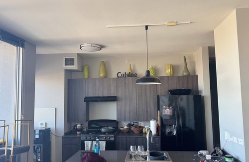 Prairie District Apartamento | 2BR South Loop Apt—Walk to Lake, Museums, Aquarium + Pool, Gym, WiFi, & Conv Ct