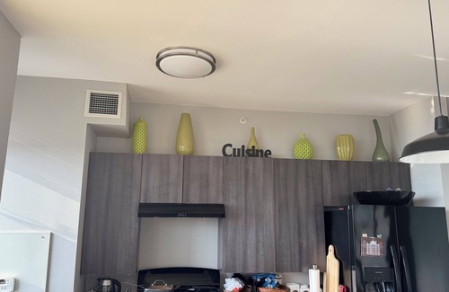 Prairie District Apartamento | 2BR South Loop Apt—Walk to Lake, Museums, Aquarium + Pool, Gym, WiFi, & Conv Ct