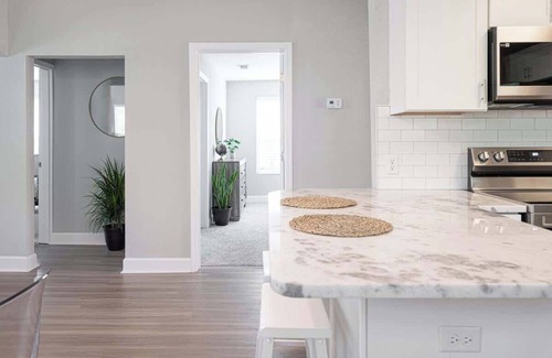 Dixieland Casa | 3/2 Downtown Lakeland Family & Pet Friendly Home