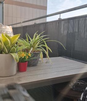 Zweckel Apartamento | 3,5 Zimmer Wohnung 68qm in Gladbeck mit Balkon und Stellplatz
