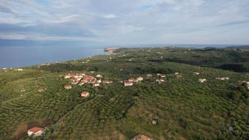 Kompi Apartamento | 3 ASTERIA