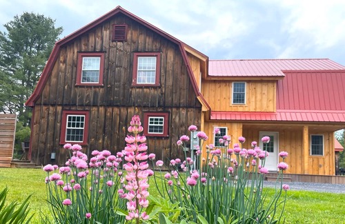 East Burke Cabina | 3 Bed Cabin - on NEK Biking and VAST Trails, Hot tub optional