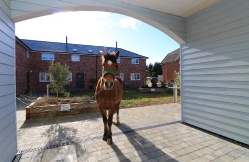 Newport Casa | 3 Bed in Newport 90253