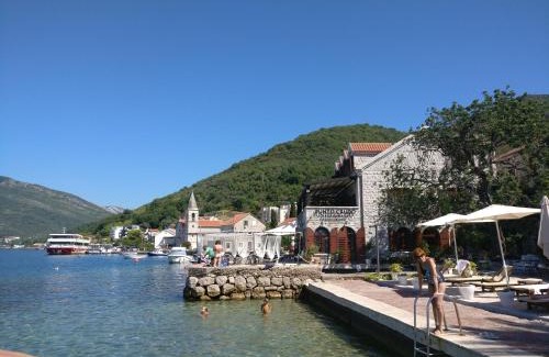 Tomicici Casa | 3 bedroom 3 bathroom pool Ivy House Montenegro
