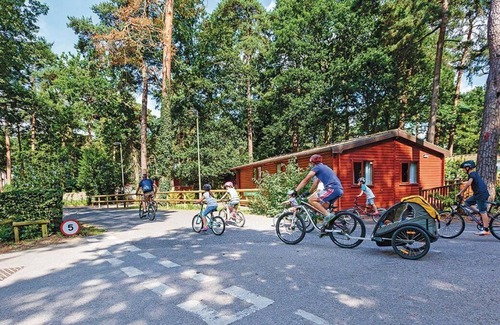New Forest District Casa | 3 bedroom accommodation in Godshill, Fordingbridge