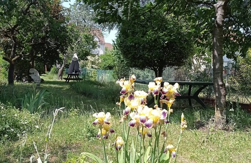Sartrouville Cama Y Desayuno | 3 Bedroom Bed & breakfast in Sartrouville