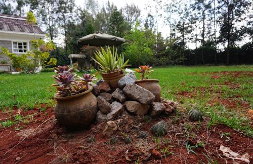 Langata Casa | 3 Bedroom Bungalow Zawadi Place
