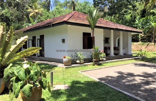 Bandaranayake Villa | Villa de estilo colonial de 3 dormitorios con piscina infinita y el pintoresco jardín