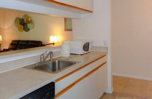 Pinellas Point Condominio | 3 Bedroom Condo L-21002 by Houzlet