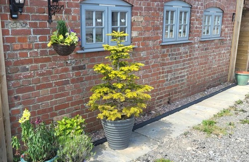 Honiton Cabaña | 3 Bedroom Cottage - Hot Tub,