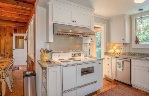 Cedar Mountain Cabina | 3 Bedroom Dog-Friendly Cabin Near Dupont State Forest