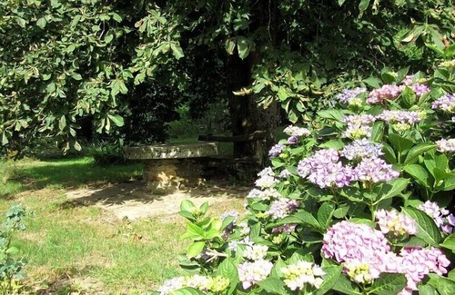 Vabre Casa | La Maison du Meunier, elija auténticas vacaciones en la granja