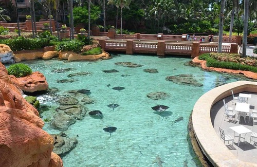 Paradise Island Complejo | 3 Bedroom - Harborside Resort at Atlantis - Full Resort Access