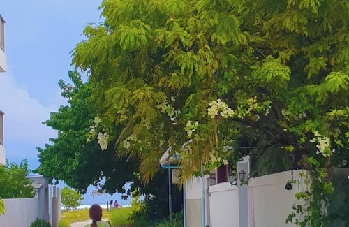 Thulusdhoo Island Casa | 3-bedroom house in charming Thulusdhoo with WiFi, AC
