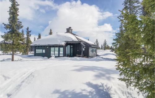 Sjusjoen Casa | 3 Bedroom Stunning Home In Sjusjøen