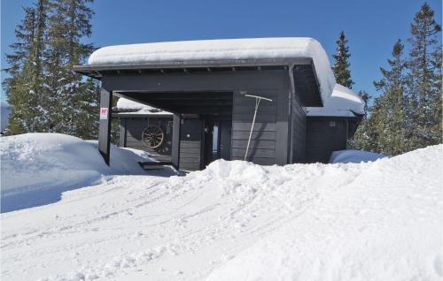 Sjusjoen Casa | 3 Bedroom Stunning Home In Sjusjøen