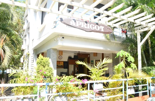 Palolem Apartamento | 3-BHK Apartment in gorgeous Canacona with WiFi, AC. Start your vacation now