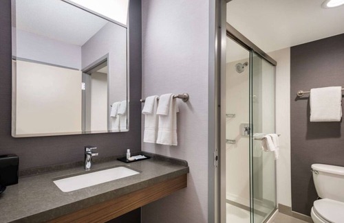 San Jose Hotel | 3 Budget-Friendly Units! Pet-Friendly, Close to The Tech Museum of Innovation
