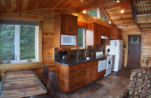 Park Rapids Cabina | Manténgase a 3 pies del agua: nuestra pequeña casa con todo lo que necesita para relajarse.