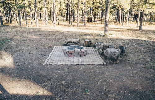 Flagstaff Cabina | 3 Kings + Bunkroom, Karaoke, Wood Stove on fenced 2.5 acre pine tree filled lot