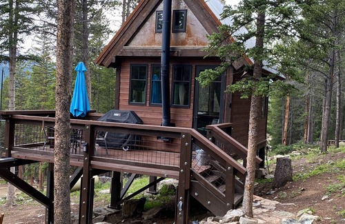 Red Cliff Cabina | 3 MILES FROM SKI COOPER - COZY CABIN SLEEPS 4!