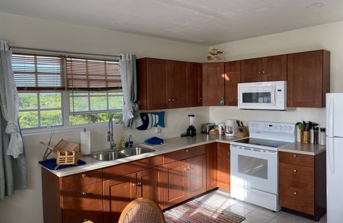 North District Cabaña | 3 minute walk from Salt Cay Divers//Dock - 1 Bedroom - Full Kitchen