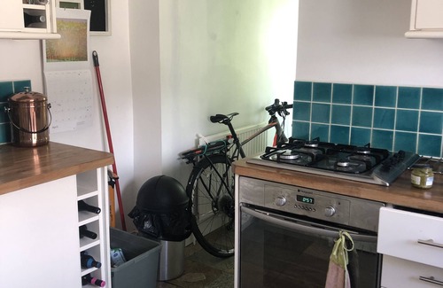 South Camberwell Apartamento | 3 Month let in Very Large Garden Flat in Funky Peckham Rye
