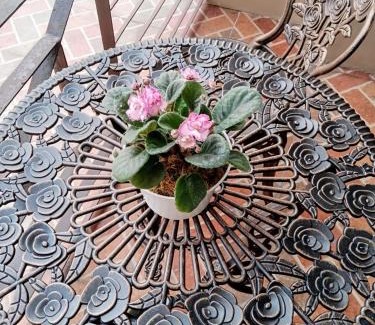 Baguio Apartamento | 3 Pax Studio Foggy Cold Breeze,Condo in Gardenville Hotel
