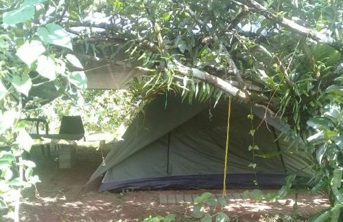 Rosalie Cabina | 3 Rivers Eco Lodge