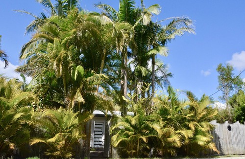 Wardell Casa | 30min from Byron Bay & 5min to unspoilt beach - Tranquility at Paradise Palms!