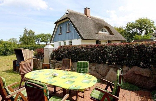 Wieck auf dem Darss Apartamento | 31 m² Apartamento ∙ 1 habitación ∙ 3 personas