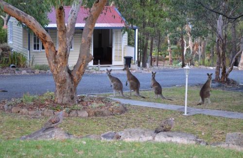 Stanthorpe Cama Y Desayuno | 31 The Rocks