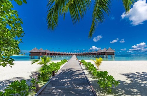 Olhuveli Complejo | 310 m² Complejo turístico ∙ 127 huéspedes
