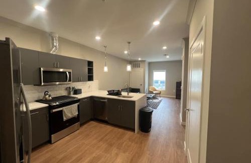Dunellen Apartamento | 315 Brand New 1 Bedroom 1 Bath 1 Full Kit 1 Liv
