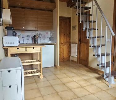 Pla de l'Ermita Apartamento | 316 - Dúplex Pla de L'Ermita Boí Taüll