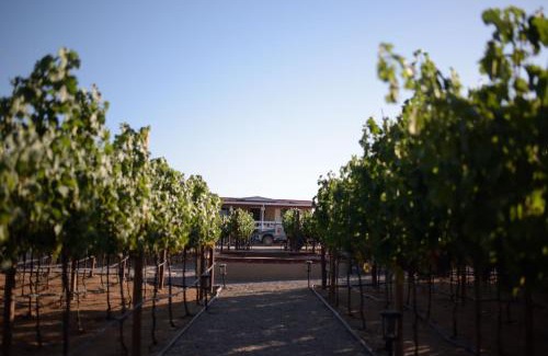 Valle de Guadalupe Hotel | 3333 Luz Del Valle Hotel Boutique