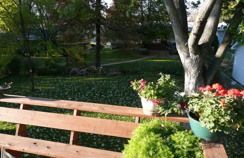 South Central Omaha Casa | 40% de descuento a partir de 28 noches para este Darling Home On Quiet Street