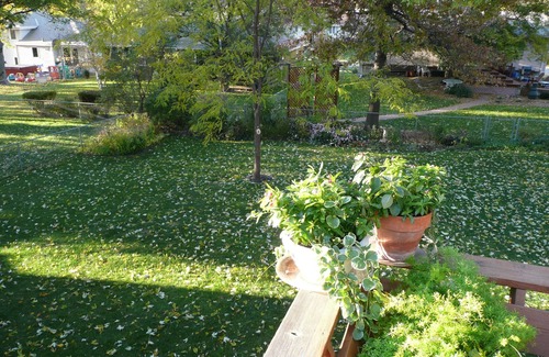 South Central Omaha Casa | 40% de descuento a partir de 28 noches para este Darling Home On Quiet Street