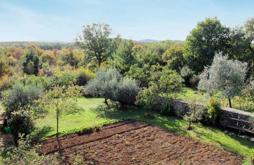 Stranici kod Lovreca Apartamento | 36 m² Apartamento ∙ 2 habitaciones ∙ 4 personas