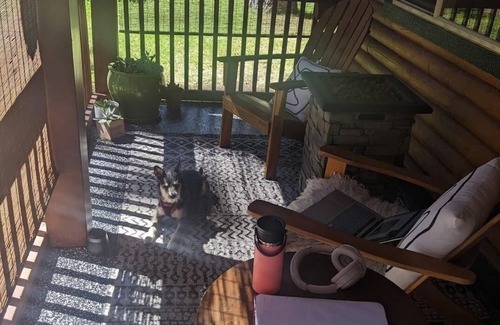 Al Tahoe Cabina | 3BD Pet-Friendly Log Cabin | Fast Wifi | Hot Tub | By Lake | Ski